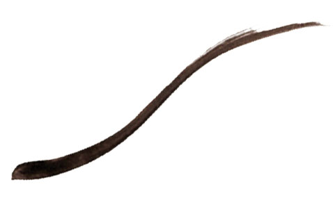 Indelible Brow Automatic  Pencil Black Coffee